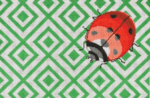 The Meredith Collection - Fly Away Home with Ladybug